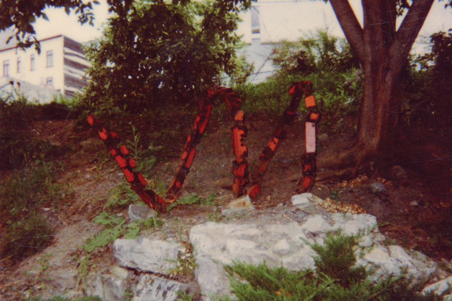 photo 1er Îlot Fleurie : Photos polaroïd 