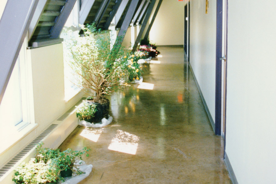 photo Dons de fleurs des Floralies hiver 1997 